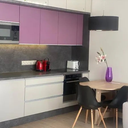 Walter&sons Centro Apartment Podebrady